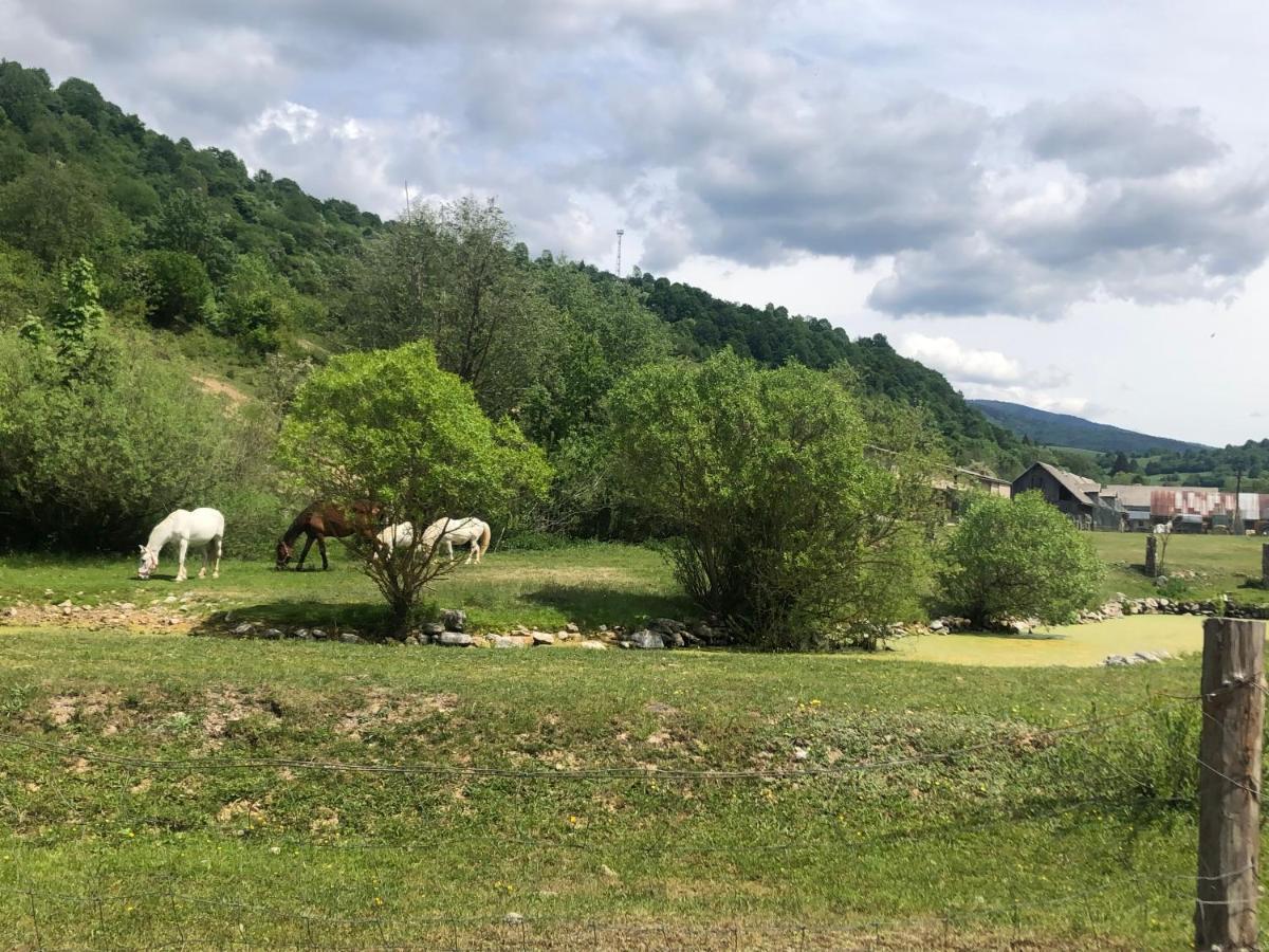 Apartmány Mýto pod Ďumbierom Esterno foto