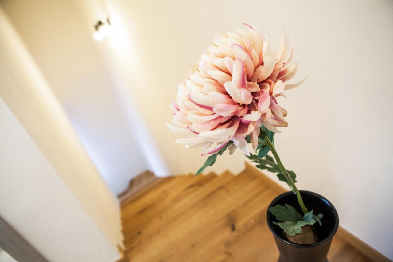 Apartmány Mýto pod Ďumbierom Esterno foto